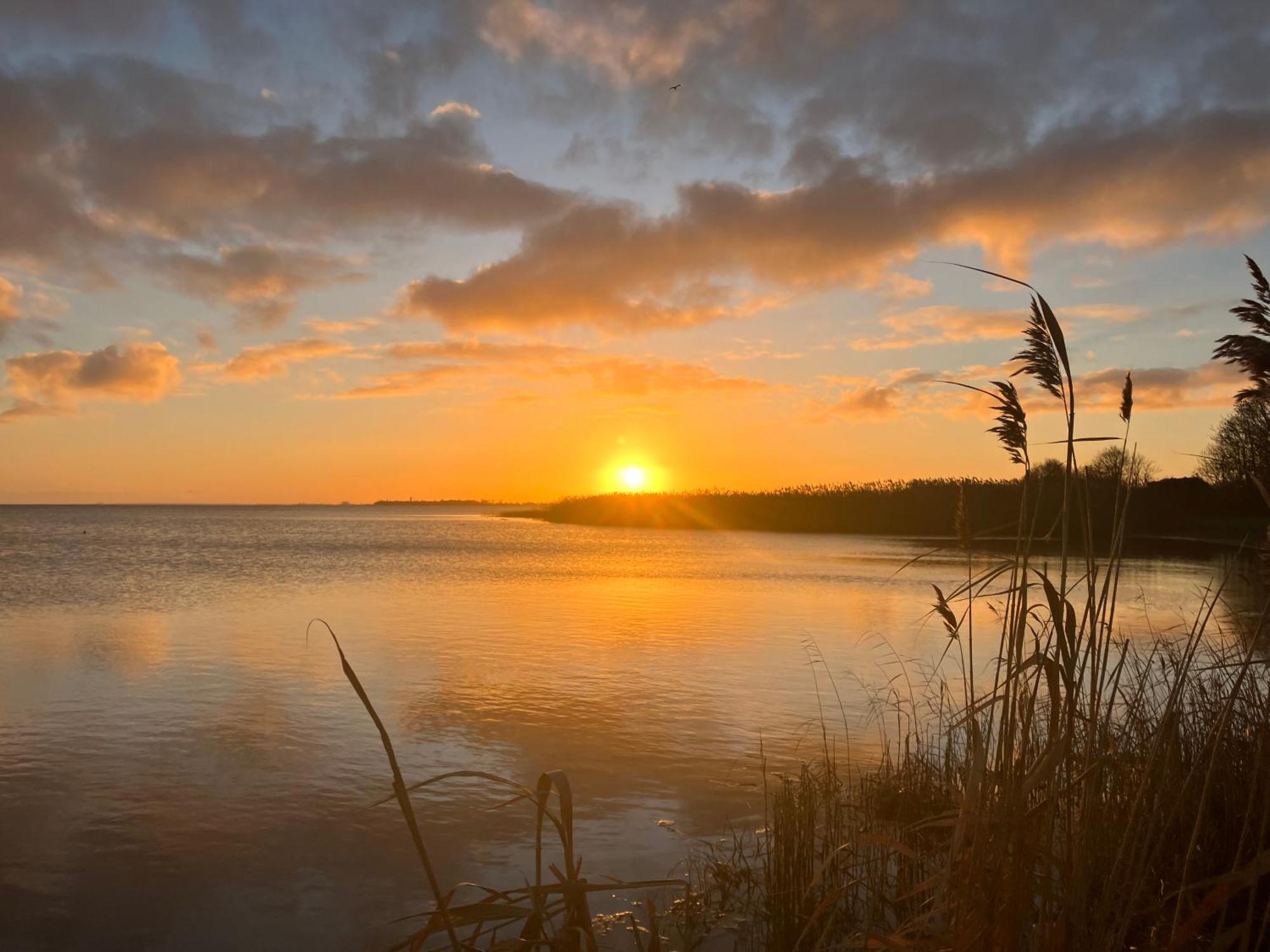 Grosse 4 Sterne Ferienwohnung Beim Boddenstrand Sundhagen-Niederhof المظهر الخارجي الصورة